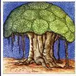 Banyan Tree - Hindu symbols