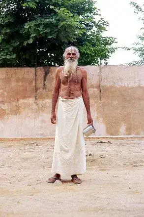 Brahmin - Hindu caste system