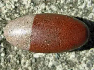 Banalinga